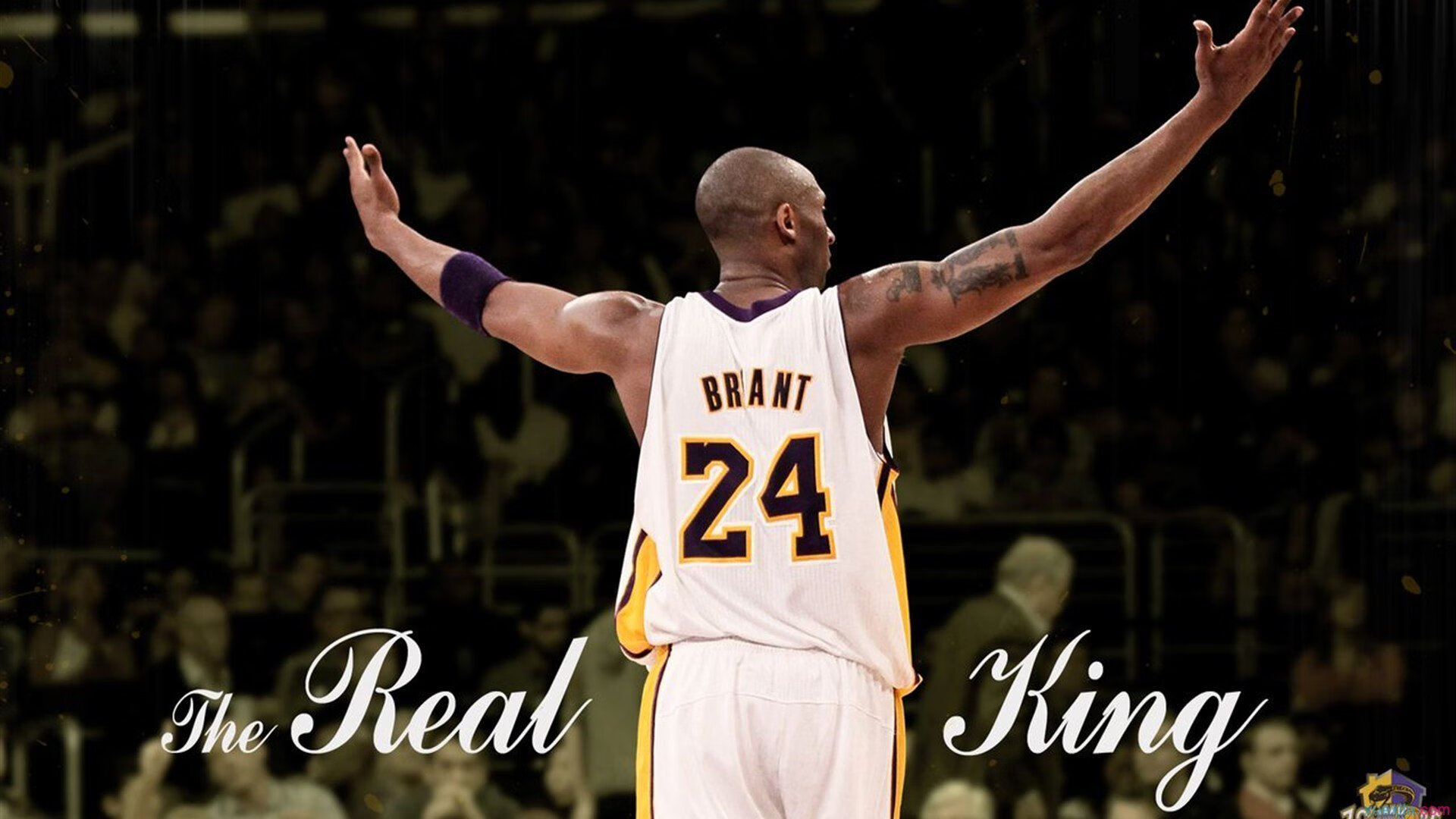 决战在即,谁能逆袭成功?,决战是谁