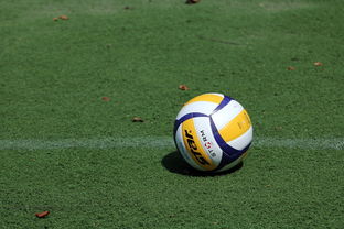 九游网页版官网-好消息！意甲豪门欲签下中国女排当家球星，已在运作或联手埃格努